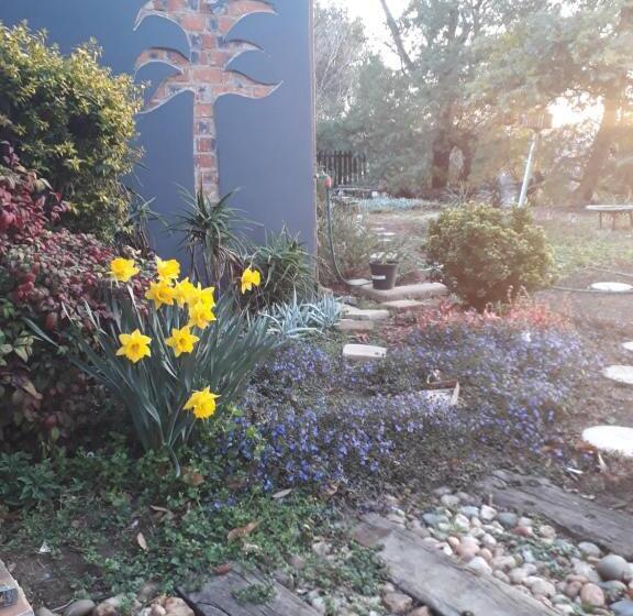 بنسيون The Nest