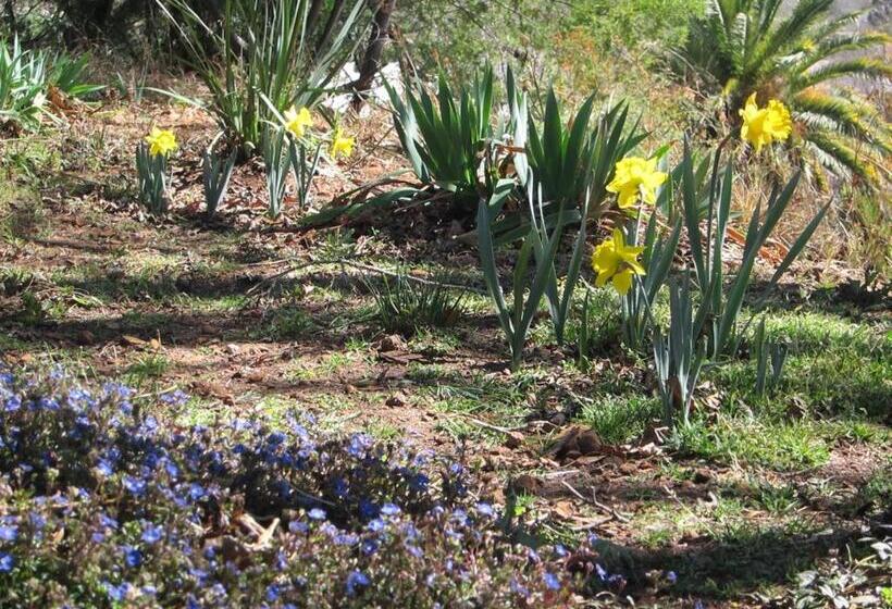 بنسيون The Nest