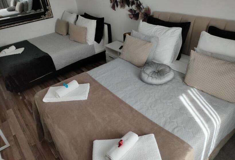 پانسیون Vila Lemic Postojna