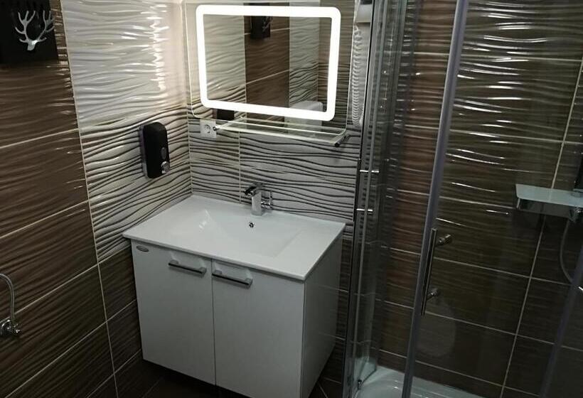 پانسیون Vila Lemic Postojna