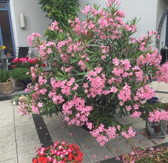 פנסיון Villa Auszeit