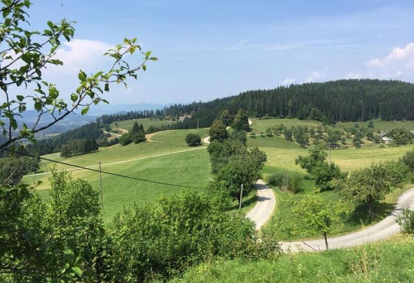 Pension Villa Louise