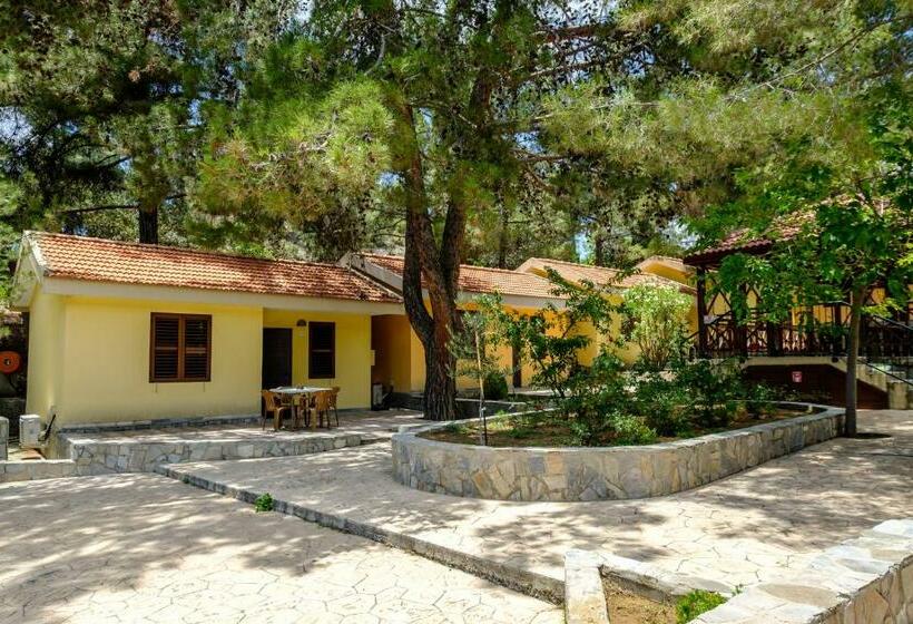 Platres Valley Houses