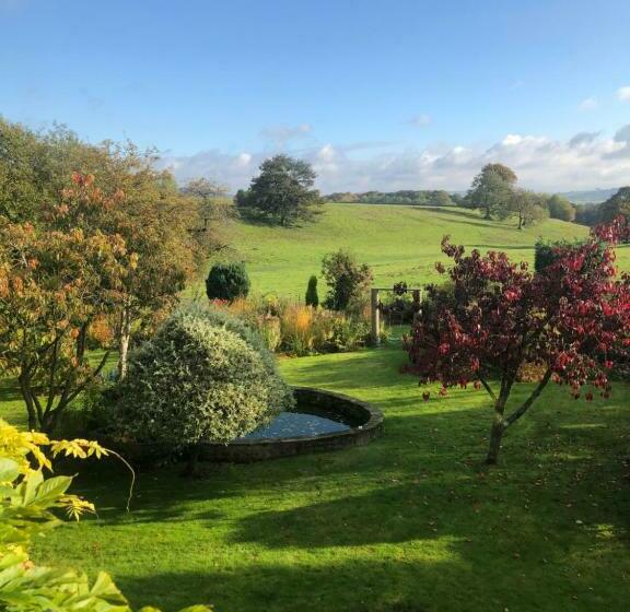The Hollow Bed And Breakfast