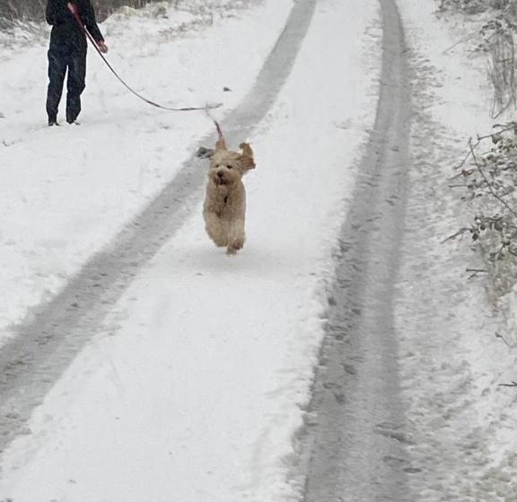 호스텔 Five Glens Inn