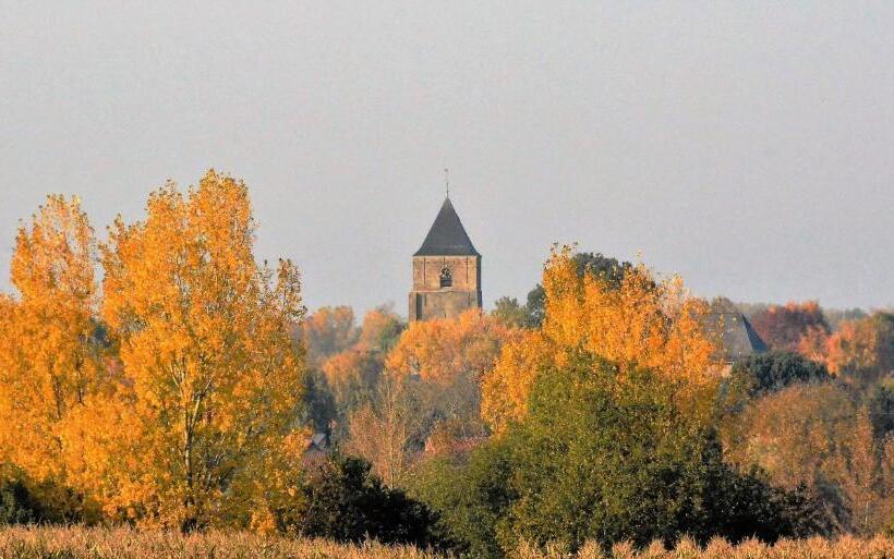 Общежитие Kloosterstraat40