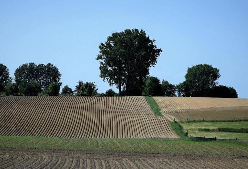 Общежитие Kloosterstraat40