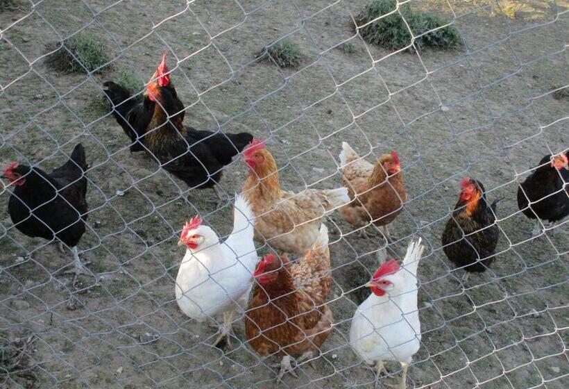 Bed and Breakfast Alla Contrada Degli Asinelli