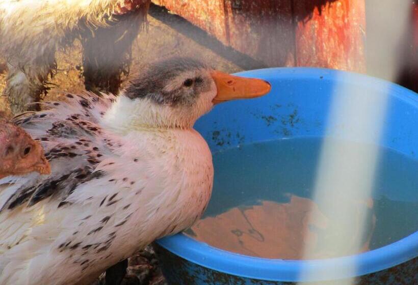 Bed and Breakfast Alla Contrada Degli Asinelli