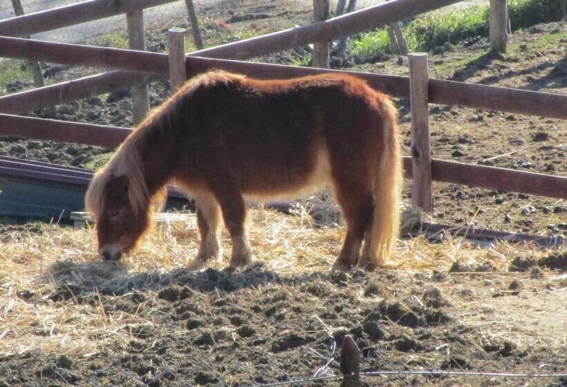 Bed and Breakfast Alla Contrada Degli Asinelli