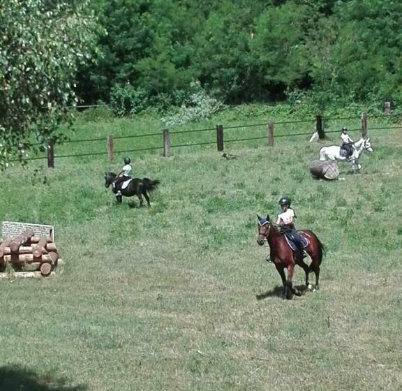 مبيت وإفطار Il Casolare Del Medio Olona