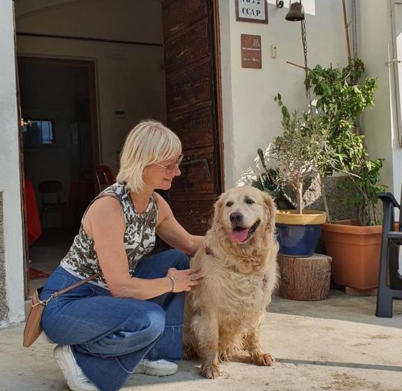 مبيت وإفطار Il Casolare Del Medio Olona