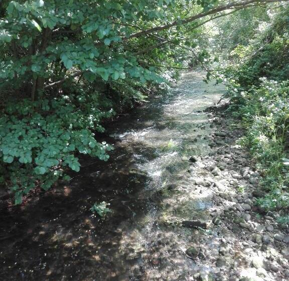 민박 Il Casolare Del Medio Olona