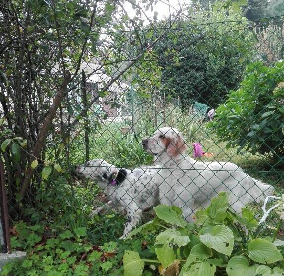 مبيت وإفطار Il Casolare Del Medio Olona