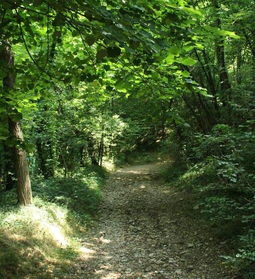 مبيت وإفطار Il Casolare Del Medio Olona