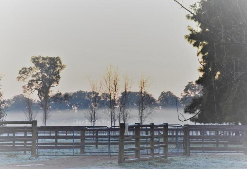 צימר King River Cottage