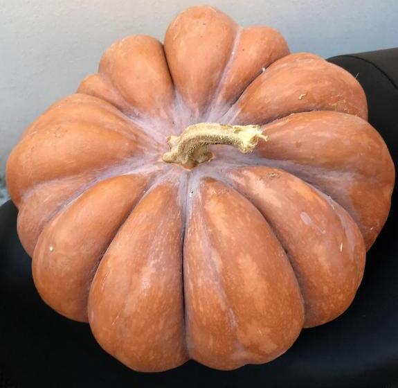 住宿加早餐  L Agrumeto