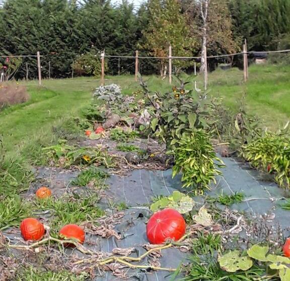 ベッドアンドブレックファースト La Roulotte De L Ami Nature