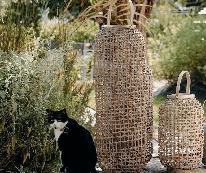 צימר La Villa D Hélène 2   Chambres D Hôtes Bnb Et Appartements   Cluses