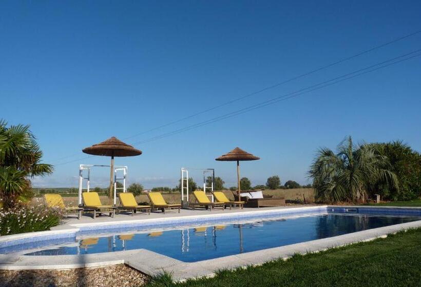 تختخواب و صبحانه Quinta Dos Doze Sobreiros   Quarto Sol