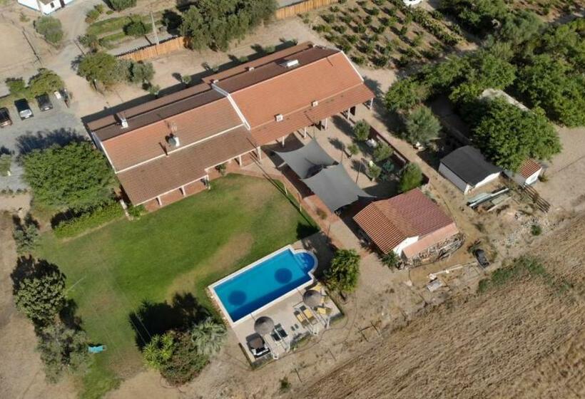 تختخواب و صبحانه Quinta Dos Doze Sobreiros   Quarto Sol