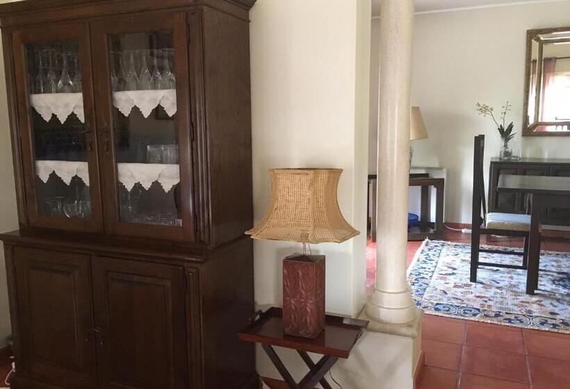مبيت وإفطار Quinta Nova Do Almeida