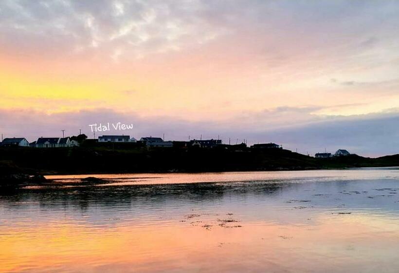 ベッドアンドブレックファースト Tidal View