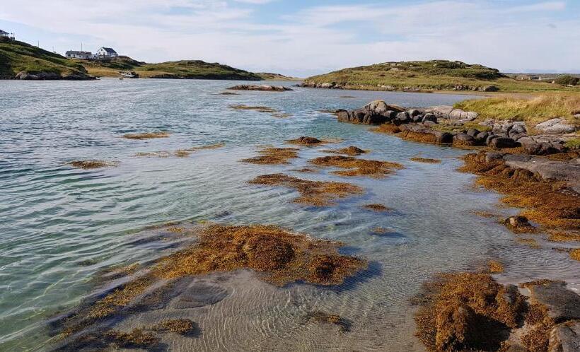 ベッドアンドブレックファースト Tidal View