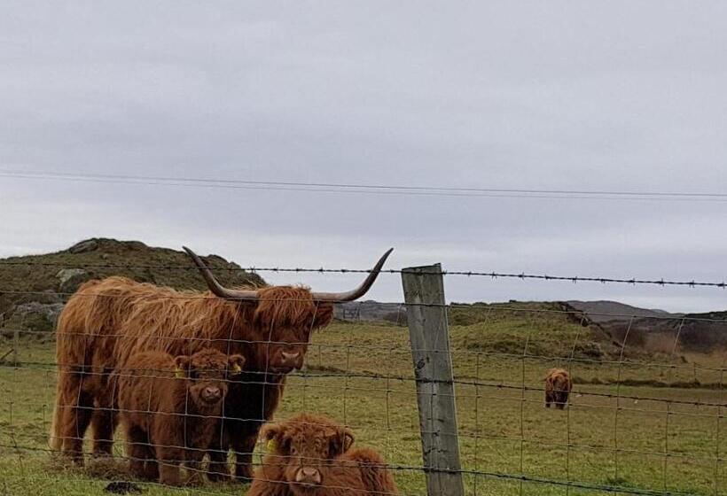 ベッドアンドブレックファースト Tidal View