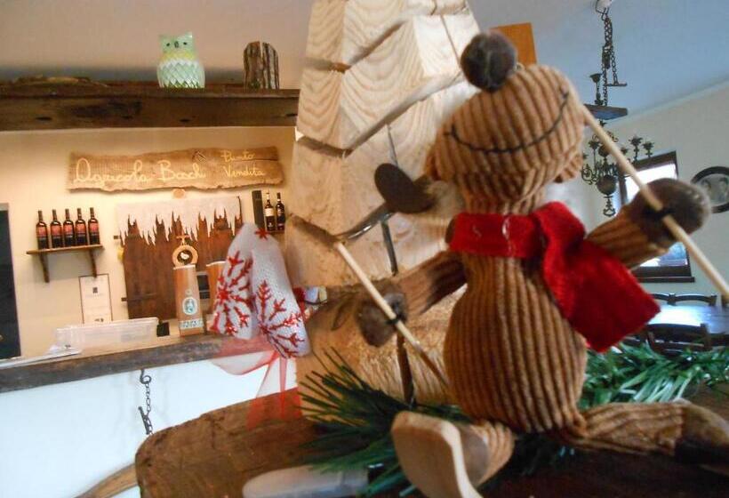 酒店 Agriturismo La Casa Nei Boschi