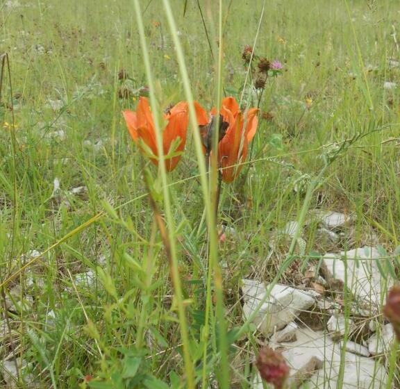 酒店 Agriturismo La Casa Nei Boschi