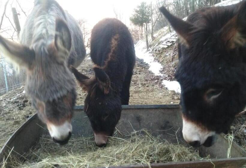 酒店 Agriturismo La Casa Nei Boschi