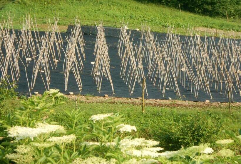 酒店 Agriturismo La Casa Nei Boschi