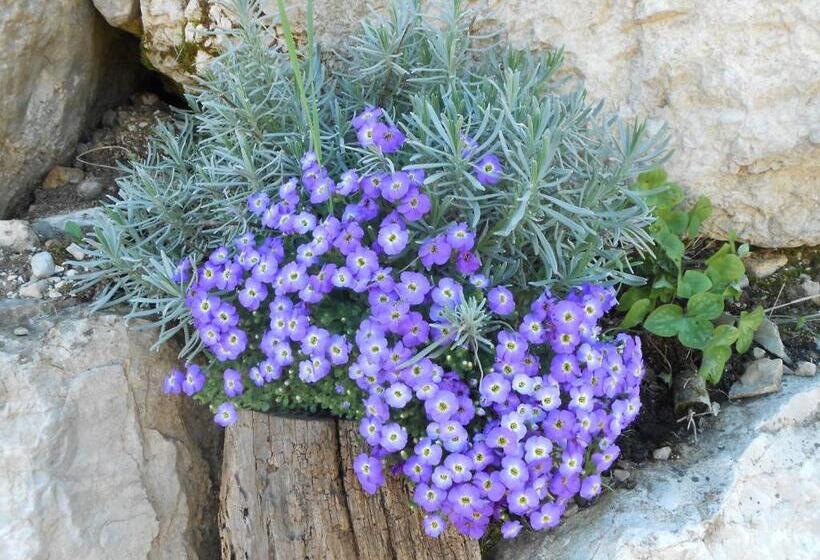 酒店 Agriturismo La Casa Nei Boschi