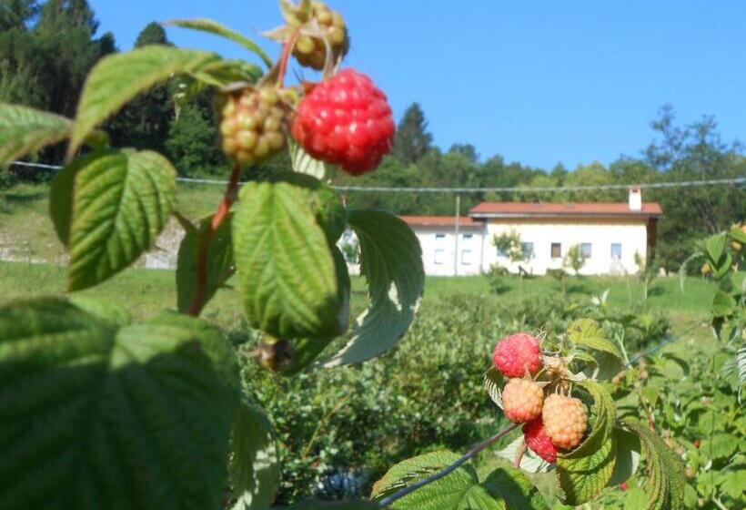 酒店 Agriturismo La Casa Nei Boschi