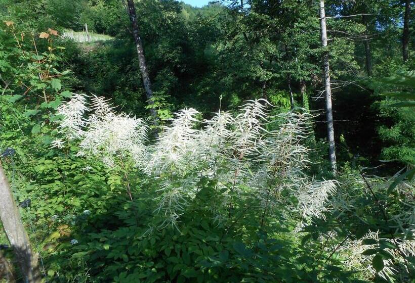 酒店 Agriturismo La Casa Nei Boschi