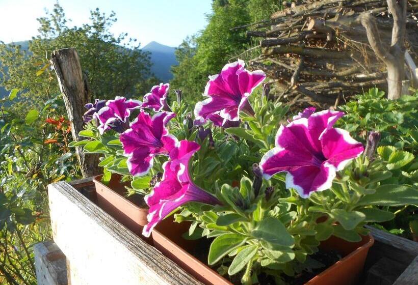 酒店 Agriturismo La Casa Nei Boschi