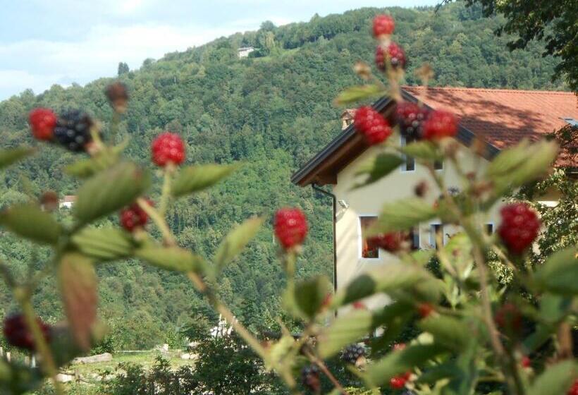 酒店 Agriturismo La Casa Nei Boschi