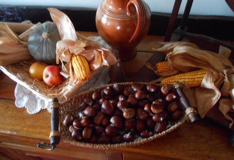 酒店 Agriturismo La Casa Nei Boschi