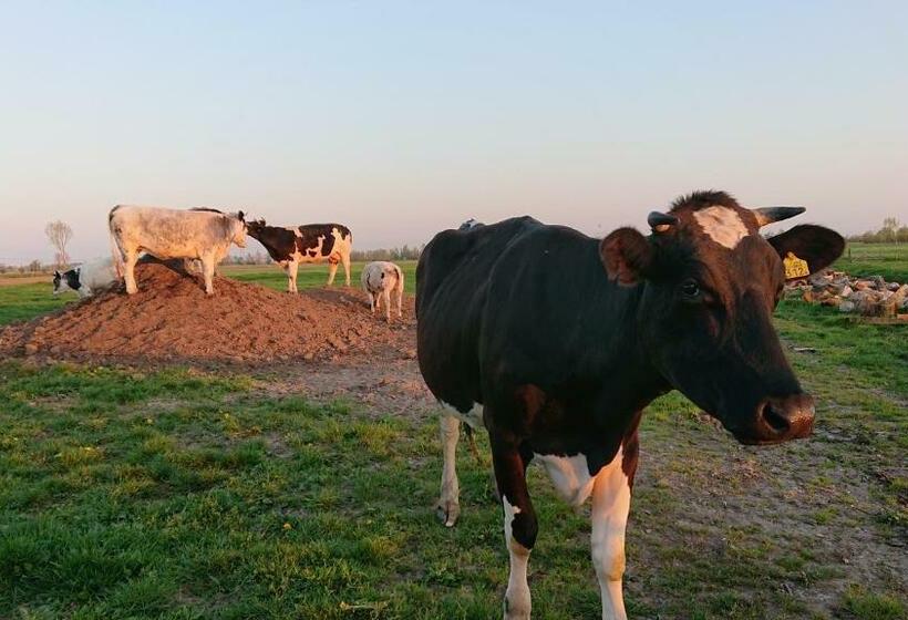 호텔 Breeveld Cottage