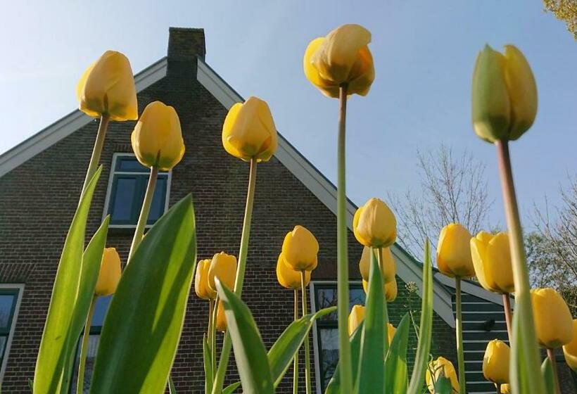 호텔 Breeveld Cottage