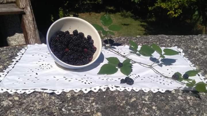 호텔 Casa Do Pereiro