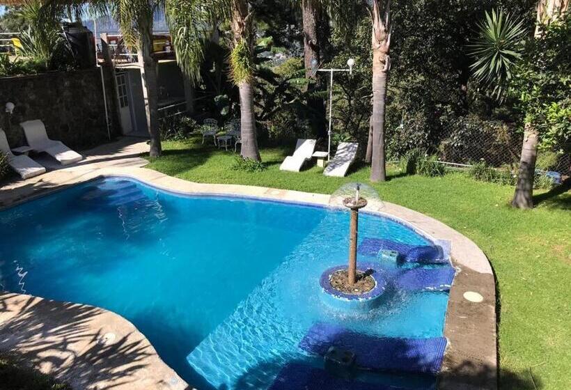 Отель El Mirador Y Jardin