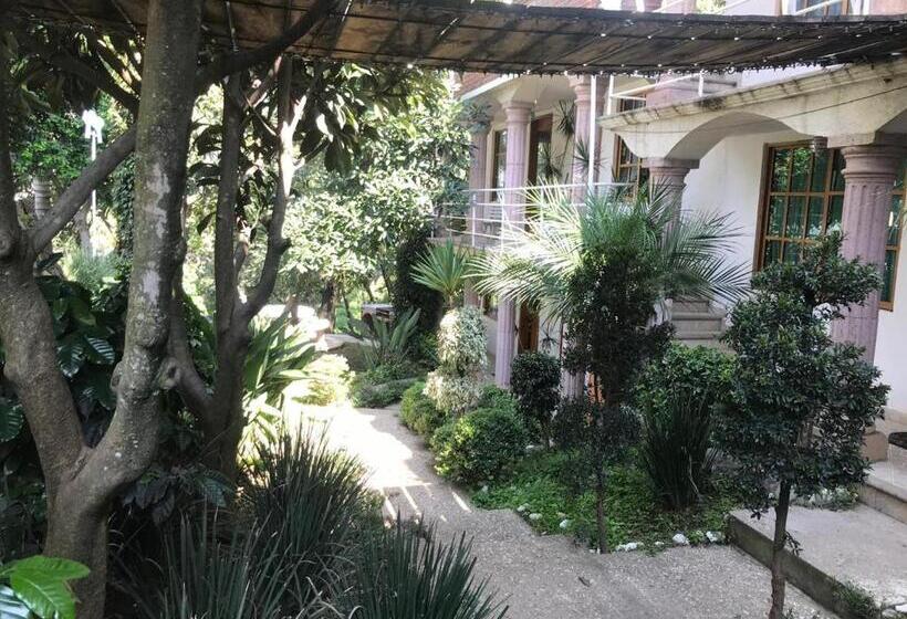 Отель El Mirador Y Jardin