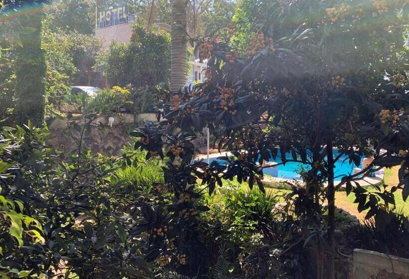 Отель El Mirador Y Jardin