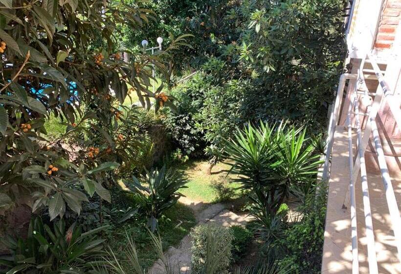 Отель El Mirador Y Jardin