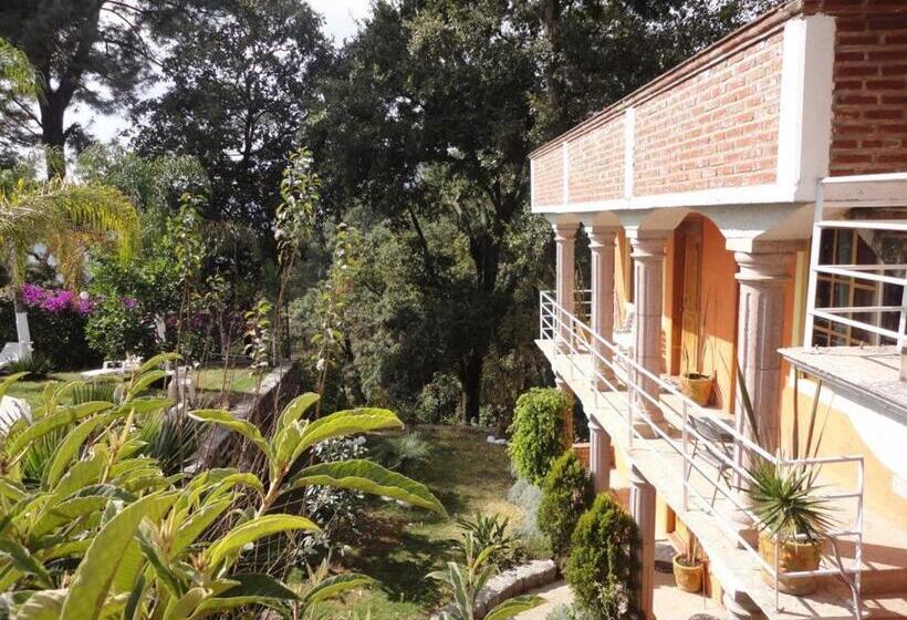 Отель El Mirador Y Jardin