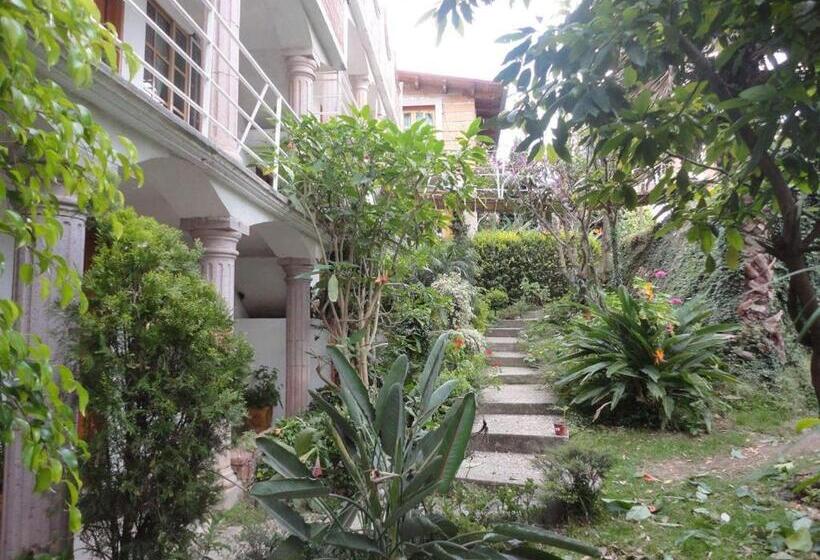Отель El Mirador Y Jardin
