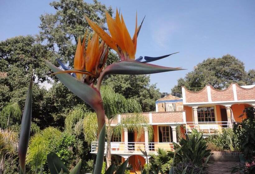 Отель El Mirador Y Jardin