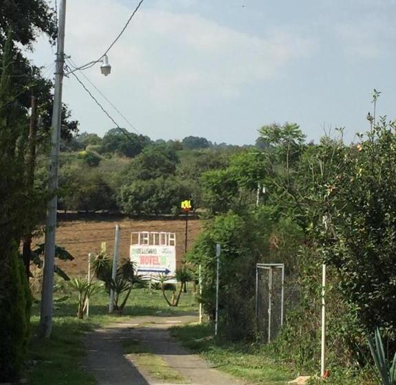 Отель El Mirador Y Jardin